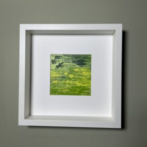 A walk amongst the daffodils