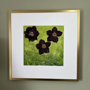 Spring Helleborus