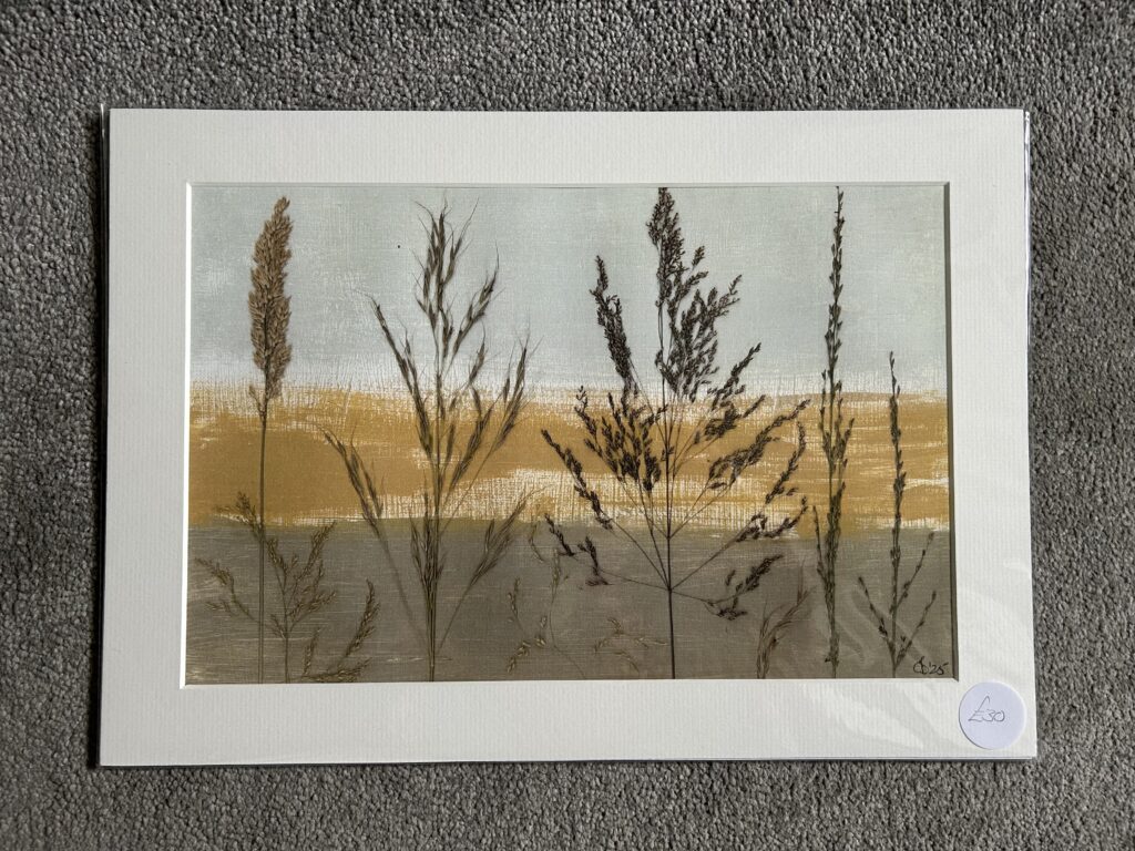 Grasses on the machair