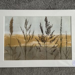 Grasses on the machair